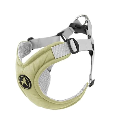 Raw product photo of a dog training collar