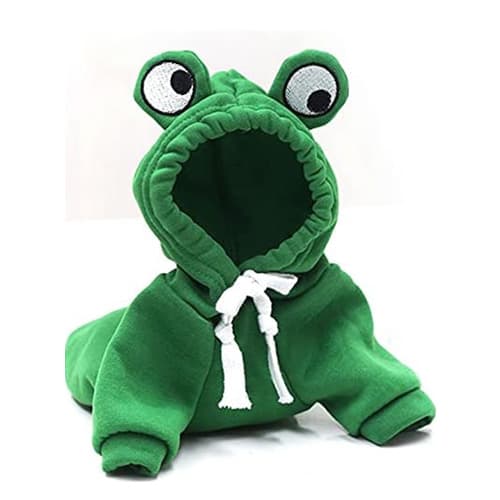 Unstyled product photo of a pet toy